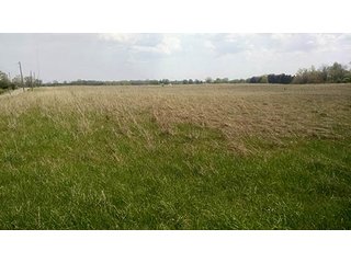 Tract 1 - Real Estate Auction in Central Ohio, 181+/- Acres offered in 4 Tracts in Union County